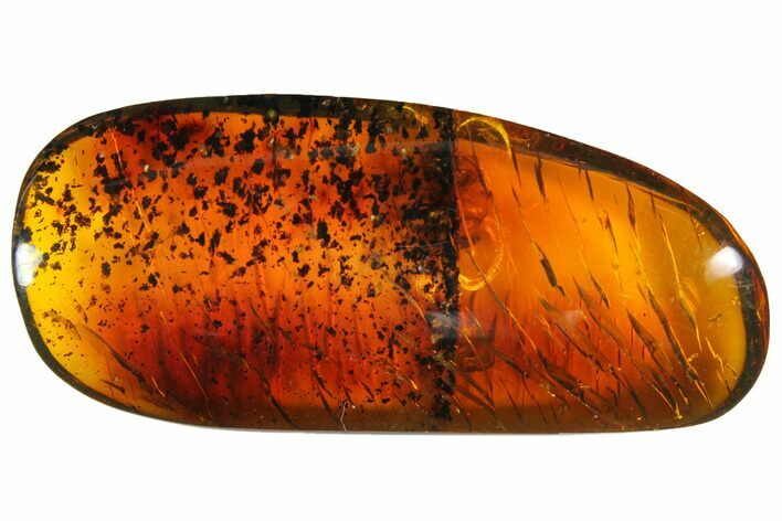 Polished Chiapas Amber ( g) - Mexico #114758